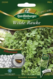 Quedlinburger Pille Wilde Rauke - Kräutersamen