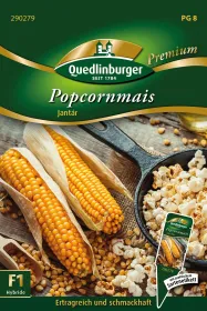 Quedlinburger Popcornmais Jantár - Gemüsesamen