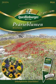 Quedlinburger Prärieblumen Mischung - Blumensamen
