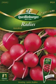 Quedlinburger Radies Annabel - Gemüsesamen
