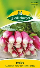 Quedlinburger Radies Flamboyant 2 - Gemüsesamen