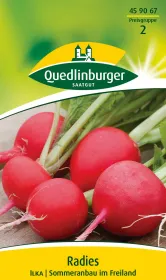 Quedlinburger Radies Ilka - Gemüsesamen