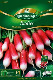 Quedlinburger Radies Mirabeau - Gemüsesamen