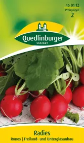 Quedlinburger Radies Rodos - Gemüsesamen