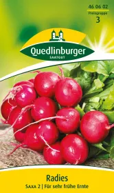 Quedlinburger Radies Saxa 2 - Gemüsesamen