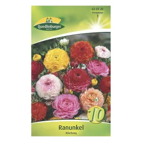 Quedlinburger Ranunkel Mischung, Ranunculus asiaticus, 10 Stück