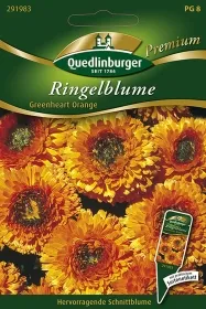 Quedlinburger Ringelblume Greenheart orange - Blumensamen