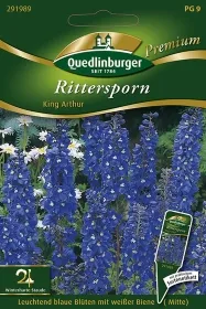 Quedlinburger Rittersporn King Arthur - Blumensamen