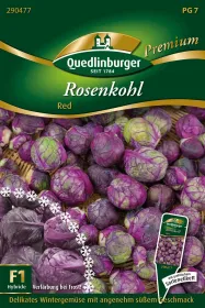 Quedlinburger Rosenkohl Red - Gemüsesamen