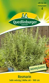 Quedlinburger Rosmarin Mehrjährig - Kräutersamen