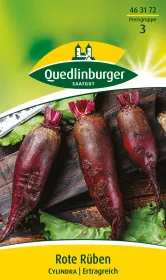 Quedlinburger Rote Rüben Cylindra - Gemüsesamen