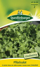 Quedlinburger Salat A couper feuille de chene - Gemüsesamen