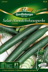 Quedlinburger Salat-/ Gewächshausgurke Saladin - Gemüsesamen