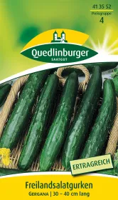 Quedlinburger Salatgurke Gergana - Gemüsesamen