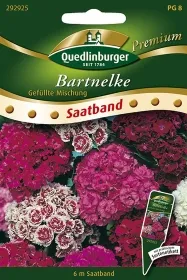 Quedlinburger SB Bartnelke Gefüllte Mischung (6 m) - Blumensamen