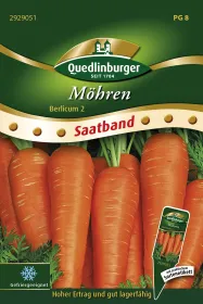 Quedlinburger Möhren Berlicum 2 Saatband 6 Meter - Gemüsesamen