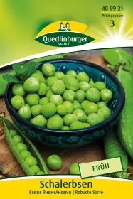 Quedlinburger Schalerbsen Kleine Rheinländerin - Gemüsesamen