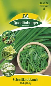 Quedlinburger Schnittknoblauch Mehrjährig - Kräutersamen