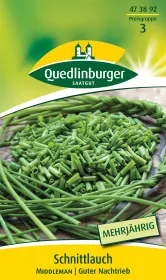 Quedlinburger Schnittlauch Middleman - Kräutersamen