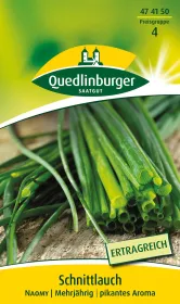Quedlinburger Schnittlauch Naomy - Kräutersamen