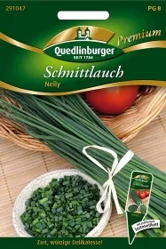 Quedlinburger Schnittlauch Nelly - Kräutersamen