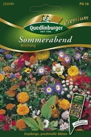 Quedlinburger Sommerabend Mischung - Blumensamen