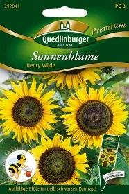 Quedlinburger Sonnenblume Henry Wilde - Blumensamen