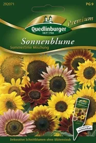 Quedlinburger Sonnenblume Summertime Mischung - Blumensamen
