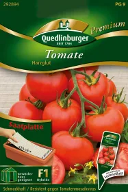Quedlinburger Tomate Harzglut Saatplatte - Gemüsesamen