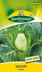 Quedlinburger Spitzkohl Express - Gemüsesamen