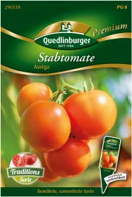 Quedlinburger Stabtomate Auriga - Gemüsesamen