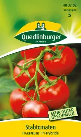 Quedlinburger Stabtomaten Harzfeuer - Gemüsesamen