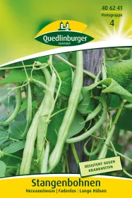 Quedlinburger Stangenbohnen Neckarkönigin - Gemüsesamen