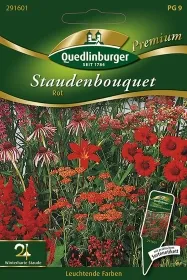 Quedlinburger Staudenbouquet Rot - Blumensamen