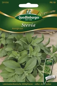 Quedlinburger Stevia Honigkraut - Kräutersamen