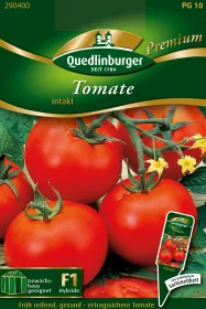 Quedlinburger Tomate Intakt - Gemüsesamen
