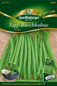 Quedlinburger Topf-Buschbohne Tempo - Gemüsesamen