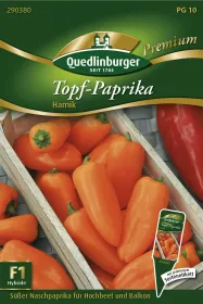 Quedlinburger Topf-Paprika Hamik - Gemüsesamen