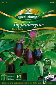 Quedlinburger Topfaubergine Patio Baby - Gemüsesamen