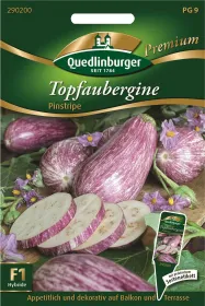Quedlinburger Topfaubergine Pinstripe - Gemüsesamen