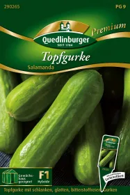Quedlinburger Topfgurke Salamanda - Gemüsesamen