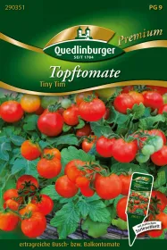 Quedlinburger Topftomate Tiny Tim - Gemüsesamen