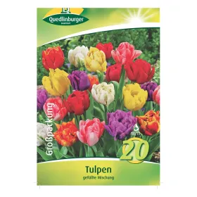 Quedlinburger Tulpen gefüllte Mischung, Blumenzwiebeln, Großpackung 20 Stück Quedlinburger Tulpen gefüllte Mischung, Blumenzwiebeln, Großpackung 20 Stück