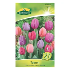 Quedlinburger Tulpen Pastell-Mischung, 20 Zwiebeln (Großpackung) Quedlinburger Tulpen Pastell-Mischung, 20 Zwiebeln (Großpackung)