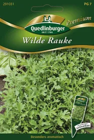Quedlinburger Wilde Rauke - Premium Kräutersamen