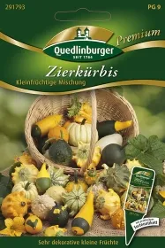 Quedlinburger Zierkürbis Kleinfrüchtige Mischung - Blumensamen