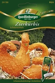 Quedlinburger Zierkürbis Schwanenhals - Blumensamen