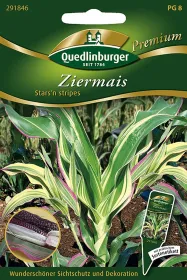 Quedlinburger Ziermais Starsn stripes - Blumensamen