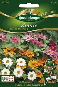 Quedlinburger Zinnie Profusion Mischung - Blumensamen