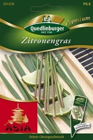 Quedlinburger Zitronengras - Kräutersamen